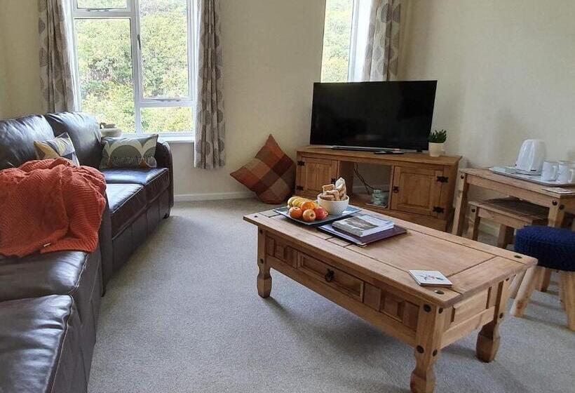 Люкс Вид на Реку, Plas Penaeldroch Manor