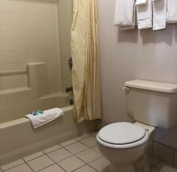 חדר סטנדרט, Prospector Inn