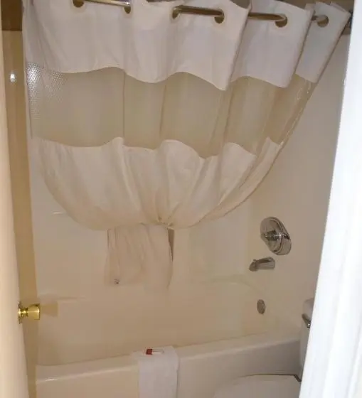キングサイズベッドのデラックスルーム, Hill Country Inn And Suite
