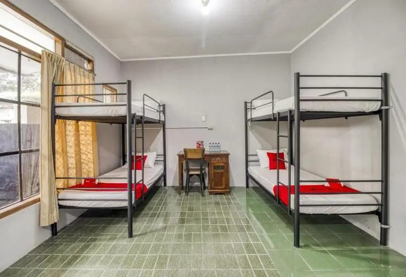 تختخواب در اتاق مشترک, Reddoorz Hostel Near Adisucipto Airport Yogyakarta