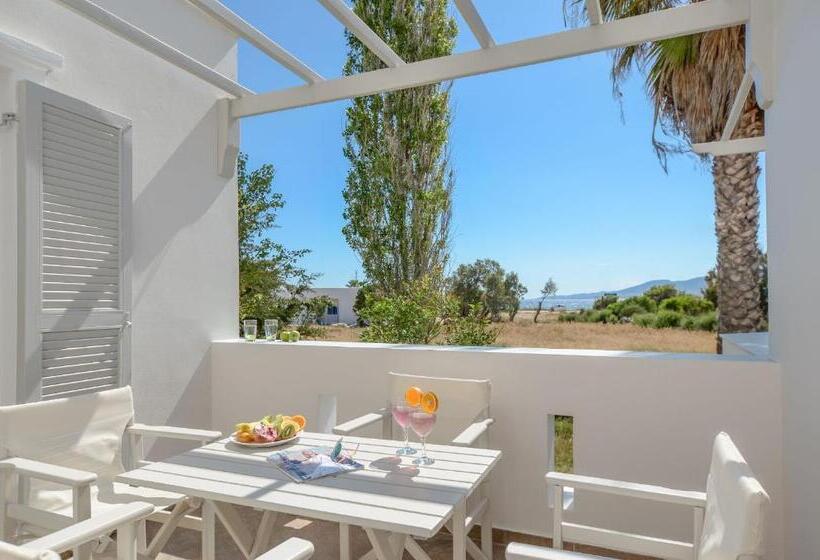 شقة غرفة واحدة ذات إطلالة, Glaronissi Beach