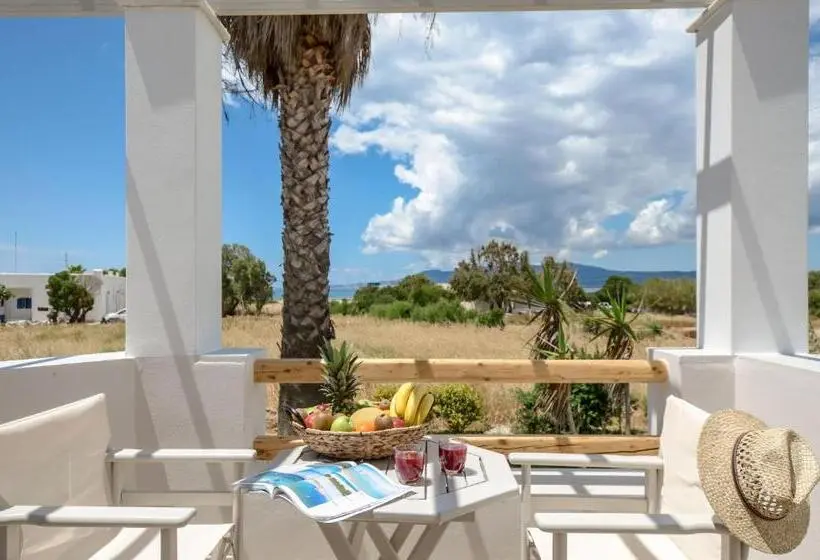 オーシャンビューのスーペリアー１ベッドルームアパートメント, Glaronissi Beach