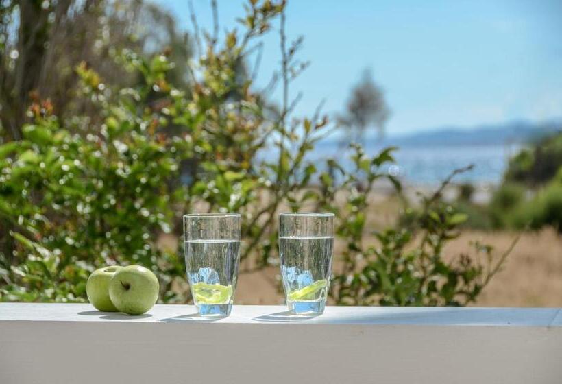 شقة غرفة واحدة ذات إطلالة, Glaronissi Beach