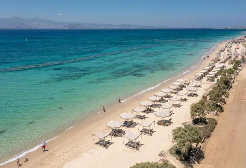 شقة كومفورت غرفة نوم واحدة, Glaronissi Beach