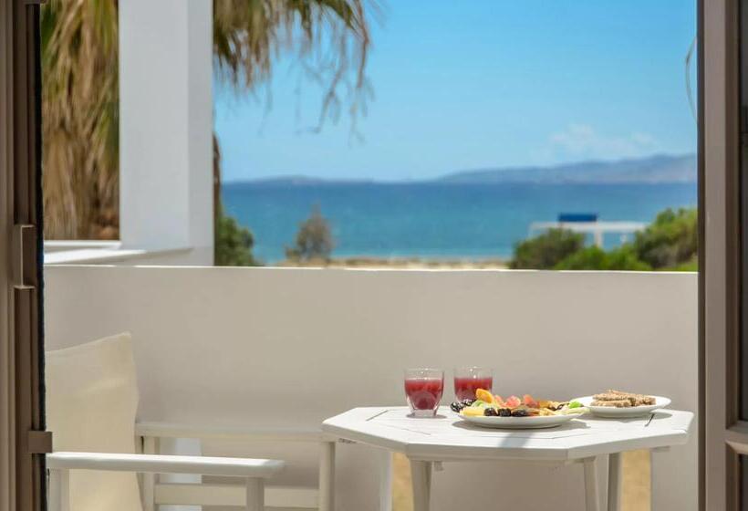 شقة كومفورت غرفة نوم واحدة, Glaronissi Beach