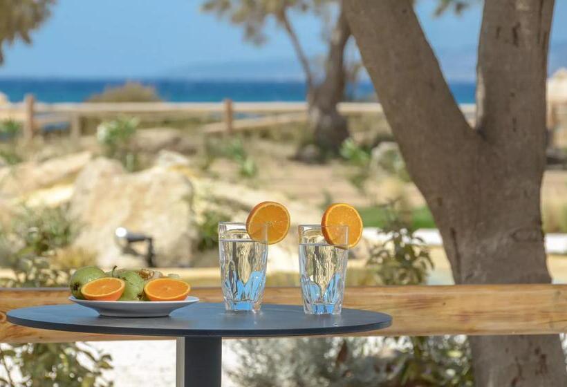 جناح ديلوكس مطل على البحر, Glaronissi Beach