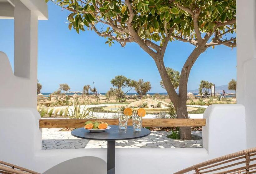 جناح ديلوكس مطل على البحر, Glaronissi Beach