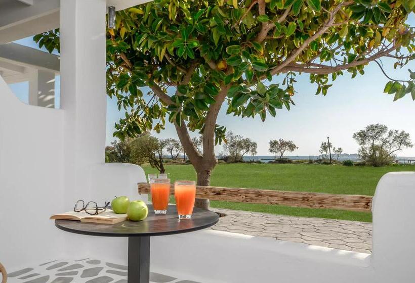 جناح ديلوكس مطل على البحر, Glaronissi Beach