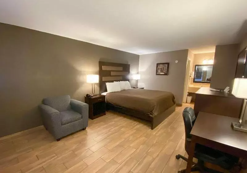 キングサイズベッドのスタンダードルーム, Quality Inn & Suites