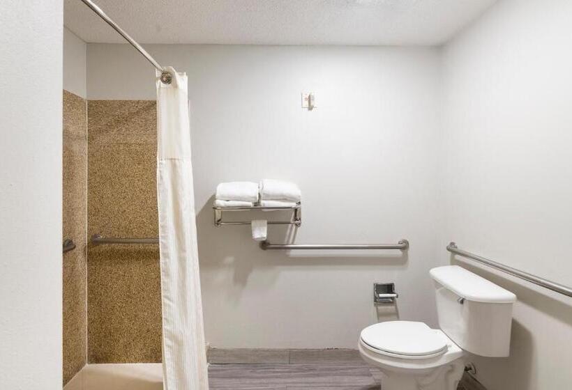适合残疾人使用的标准间, Red Roof Inn Stafford, TX