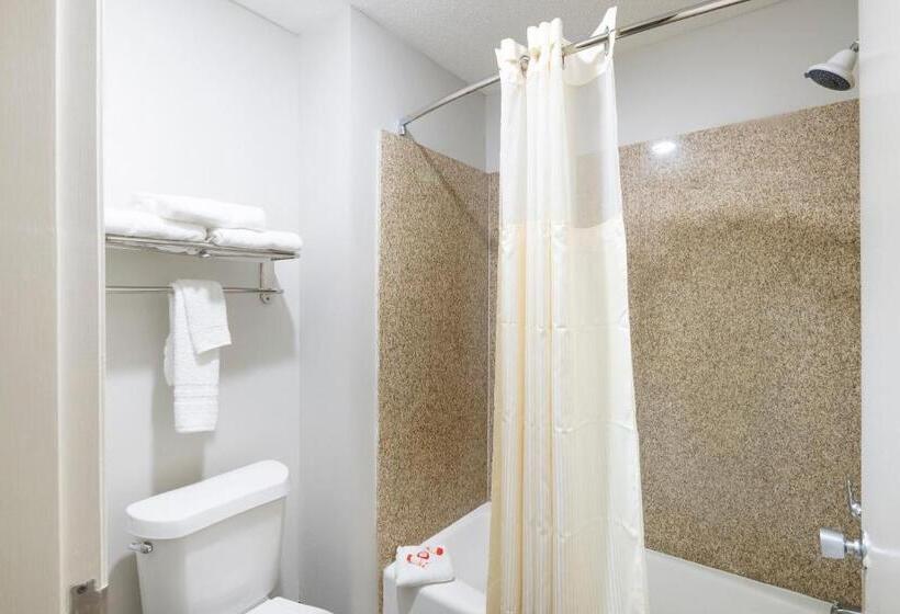 标准间, Red Roof Inn Stafford, TX