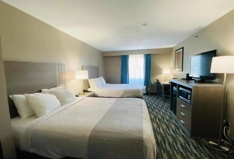 スタンダードルーム, Best Western Edinburgh/columbus