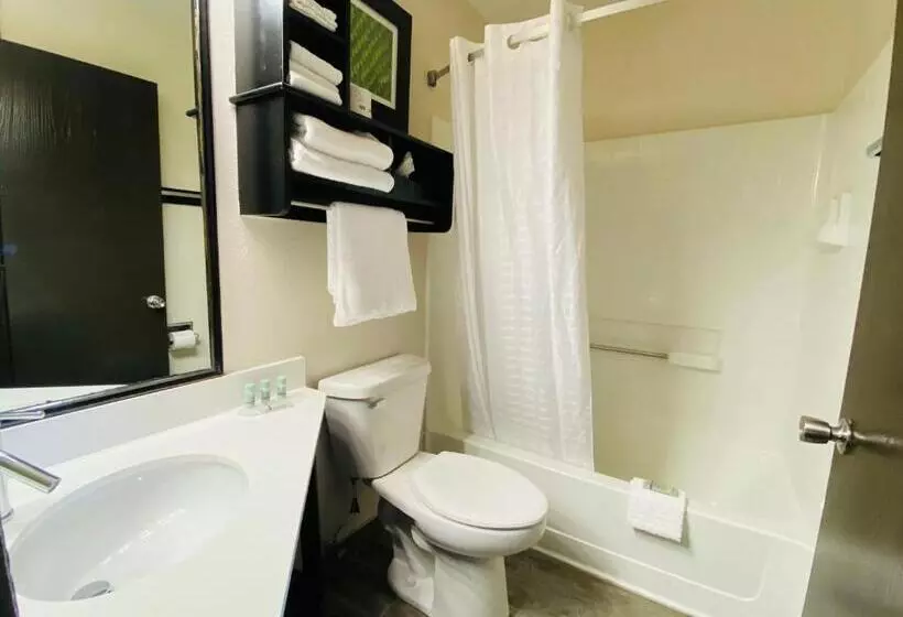 キングサイズベッドのスタンダードルーム, Best Western Edinburgh/columbus
