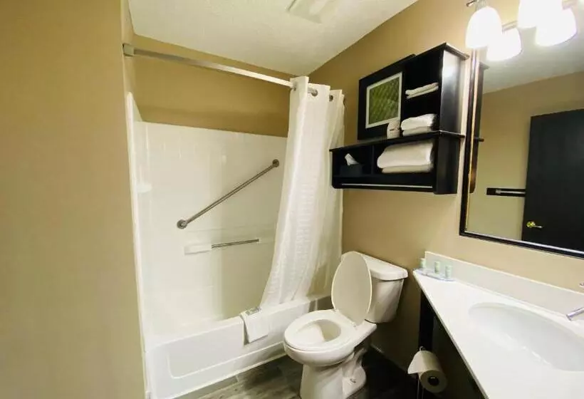 身障者適用キングサイズベッドルーム, Best Western Edinburgh/columbus
