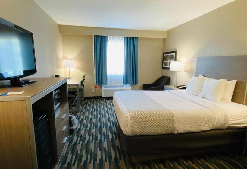 غرفة قياسية سرير كينج لذوى الإحتياجات الخاصة, Best Western Edinburgh/columbus