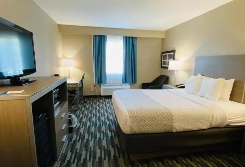 身障者適用キングサイズベッドルーム, Best Western Edinburgh/columbus