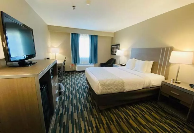 身障者適用キングサイズベッドルーム, Best Western Edinburgh/columbus
