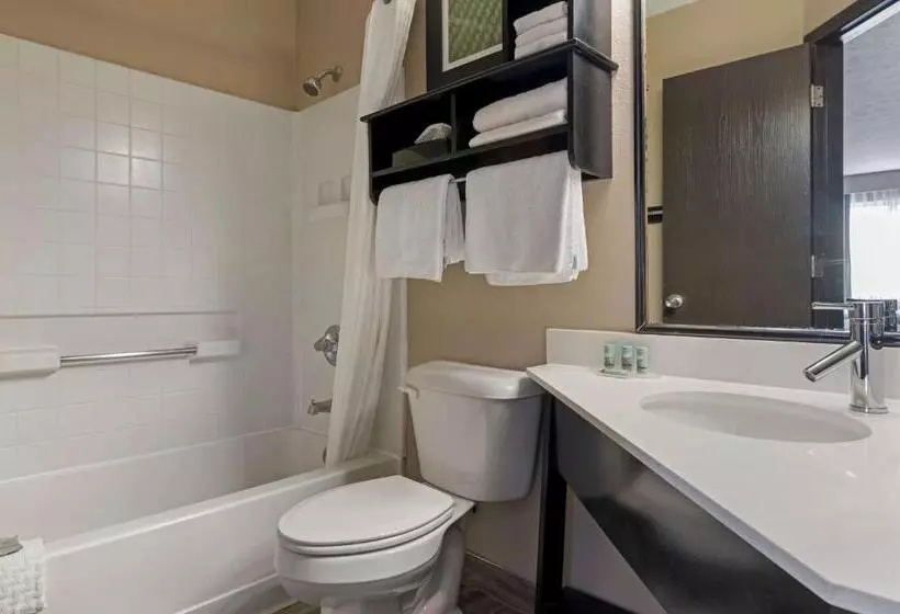 身障者適用キングサイズベッドルーム, Best Western Edinburgh/columbus