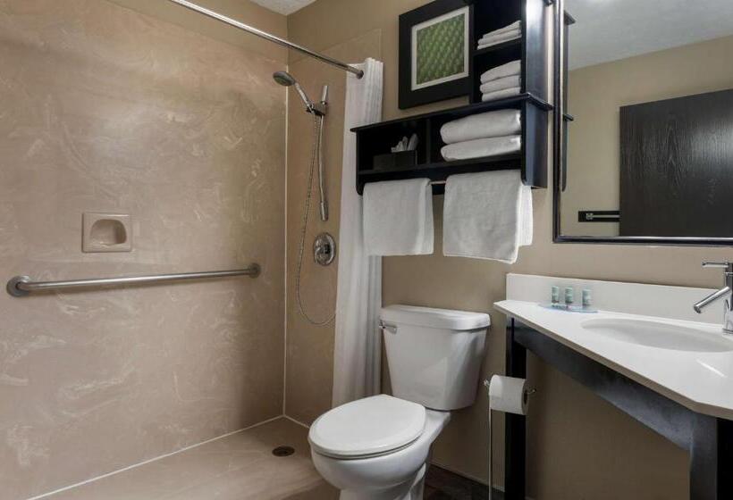 Camera Standard Pat King Adaptată pentru Discapacitaţi, Best Western Edinburgh/columbus