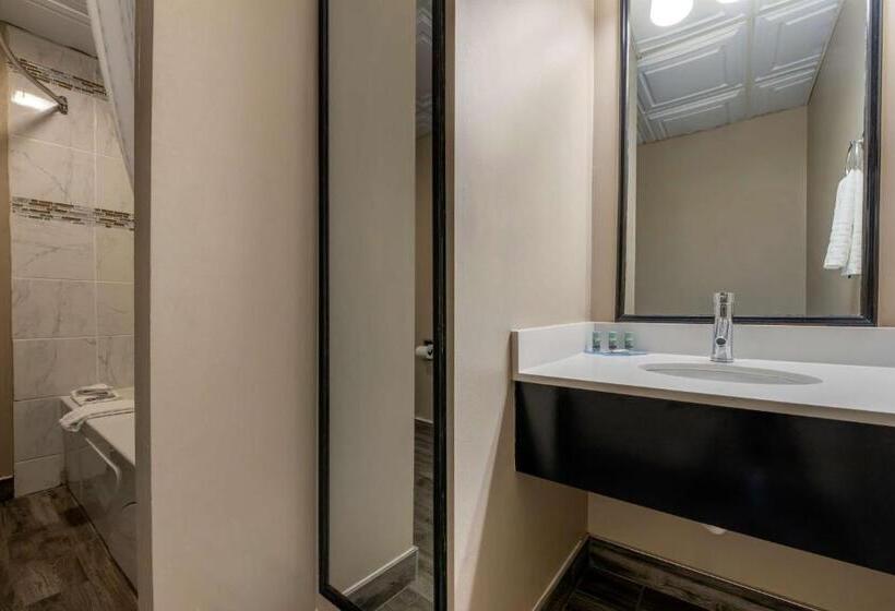 Cameră Standard Pat King Size, Best Western Edinburgh/columbus