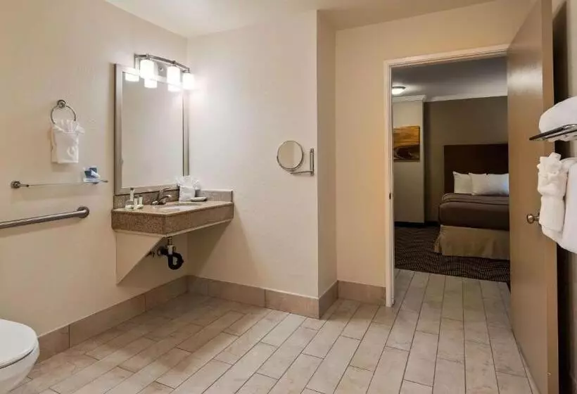 اتاق استاندارد با تخت بزرگ برای معلولان, Best Western John Muir Inn