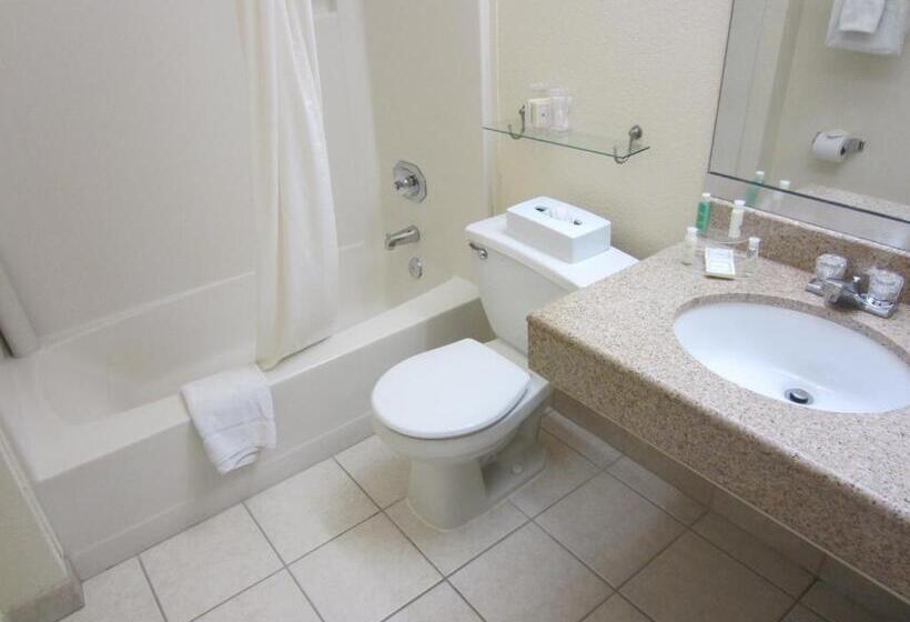 스탠다드 룸 킹사이즈 침대, Best Western John Muir Inn