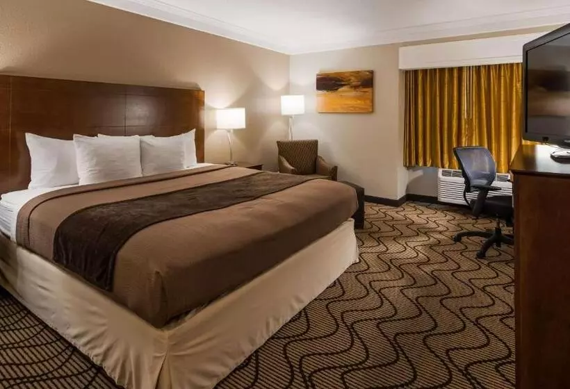 اتاق استاندارد با تخت بزرگ, Best Western John Muir Inn