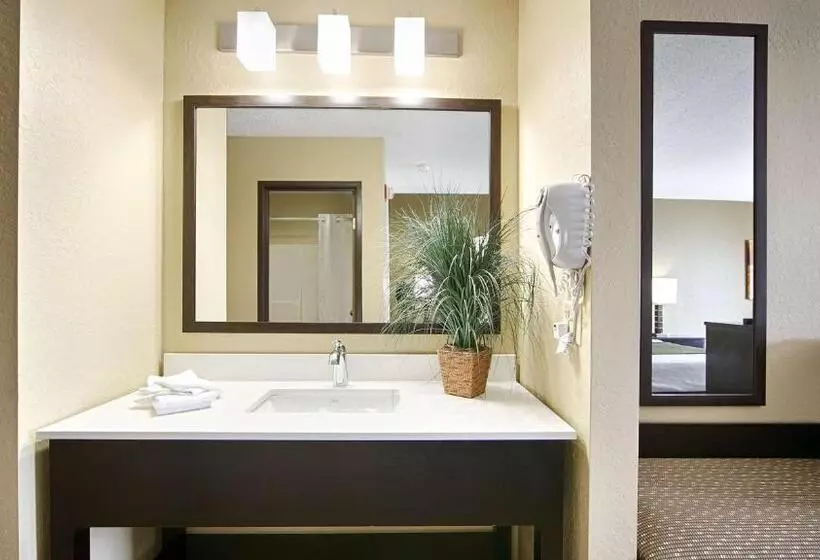 身障者適用キングサイズベッドルーム, Best Western Norwalk