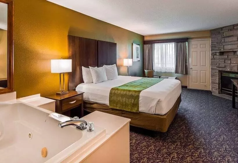 ダブルベッドスタンダードルーム, Best Western Plaza Inn