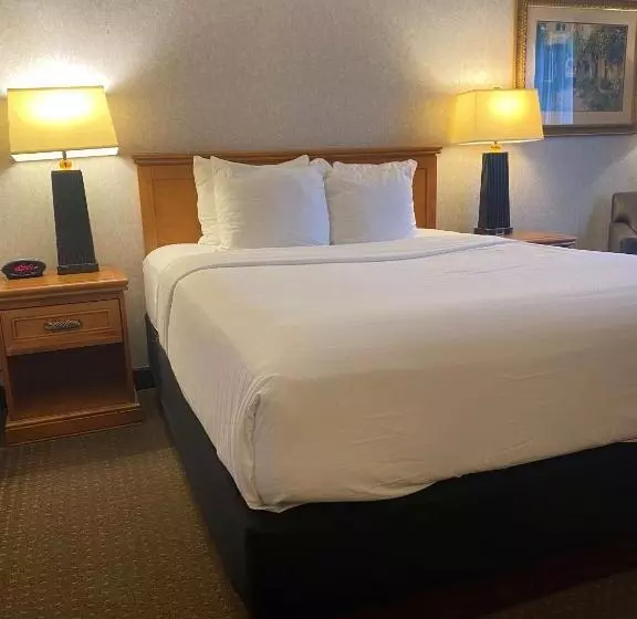 身障者適用スタンダードルーム, Best Western Plus Kelly Inn