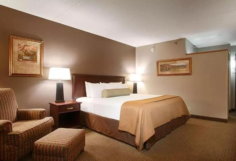 キングサイズベッドのスタンダードルーム, Best Western Plus Kelly Inn