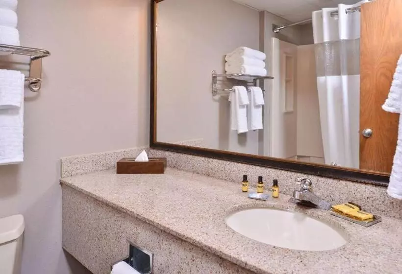 キングサイズベッドのスタンダードルーム, Best Western Plus Kelly Inn