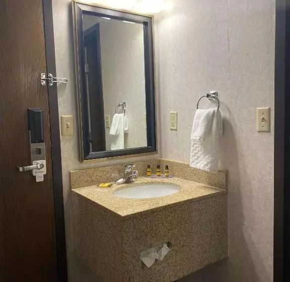 身障者適用キングサイズベッドルーム, Best Western Plus Kelly Inn