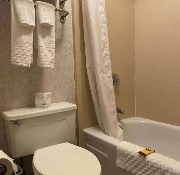 Номер Стандарт Кровать Кинг Адаптированный для Инвалидов, Best Western Plus Kelly Inn