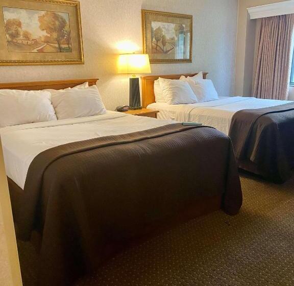 غرفة قياسية, Best Western Plus Kelly Inn