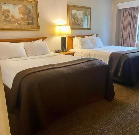 スタンダードルーム, Best Western Plus Kelly Inn