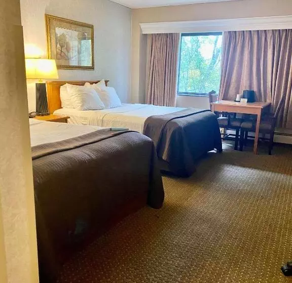 スタンダードルーム, Best Western Plus Kelly Inn