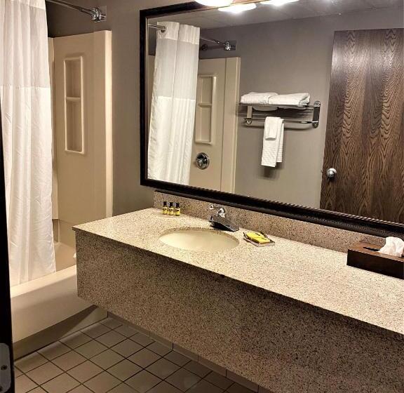 장애인을 위한 스탠다드 룸, Best Western Plus Kelly Inn