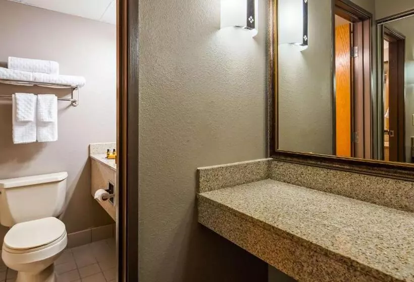デラックスルーム, Best Western Plus Kelly Inn