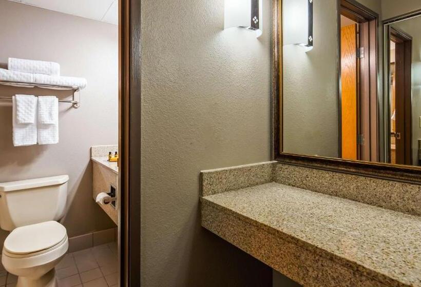 إستوديو ديلوكس, Best Western Plus Kelly Inn