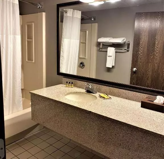 デラックススタジオ, Best Western Plus Kelly Inn