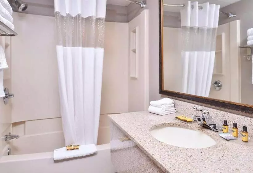 デラックススタジオ, Best Western Plus Kelly Inn