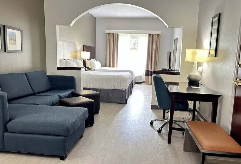 Люкс, Comfort Suites Milledgeville