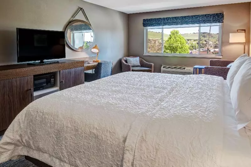 اتاق استاندارد با تخت بزرگ, Hampton Inn Vallejo