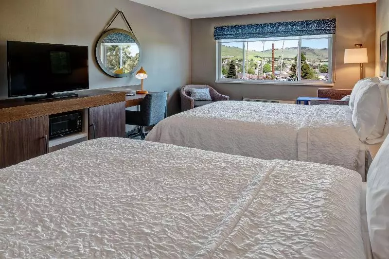 اتاق استاندارد با تخت بزرگ, Hampton Inn Vallejo