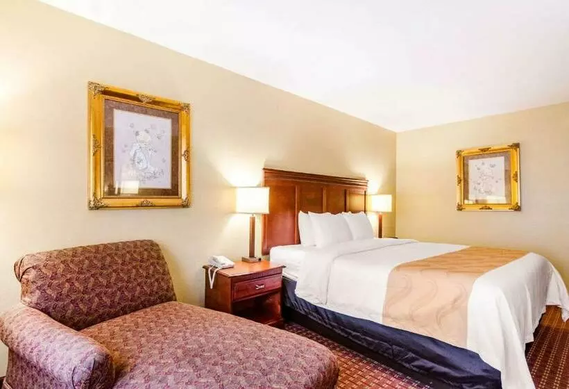 اتاق استاندارد با تخت بزرگ, Quality Inn & Suites Carthage Near Precious Moments Chapel