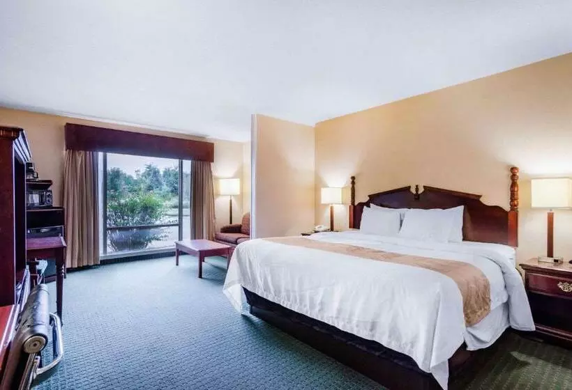 اتاق سوپریور با تخت بزرگ, Quality Inn & Suites Carthage Near Precious Moments Chapel
