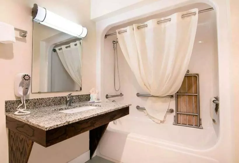 اتاق استاندارد با تخت بزرگ برای معلولان, Quality Inn & Suites Carthage Near Precious Moments Chapel