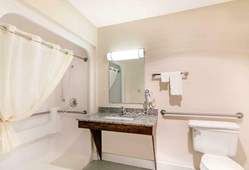 Quarto Estandar Cama King para Deficientes Físicos, Quality Inn & Suites