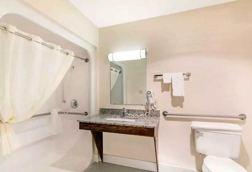 اتاق استاندارد با تخت بزرگ برای معلولان, Quality Inn & Suites Carthage Near Precious Moments Chapel